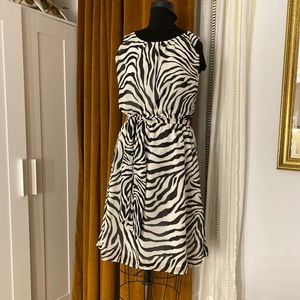 Banana Republic Zebra Print Dress